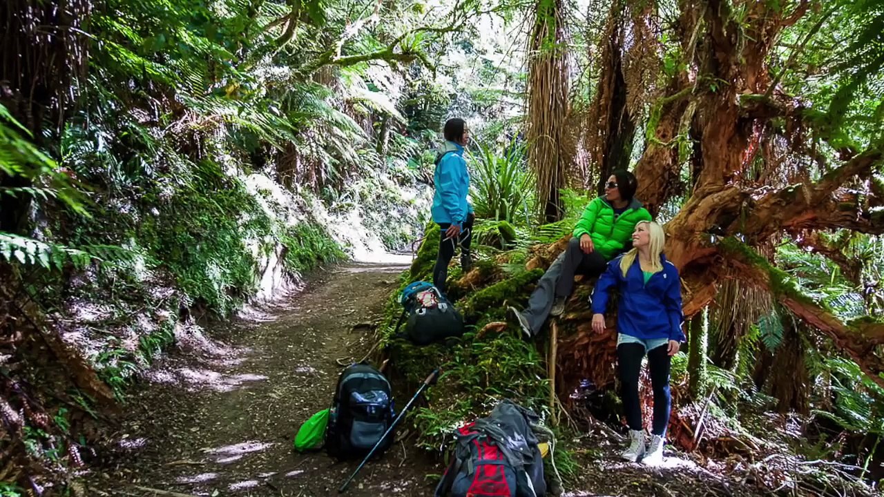 Intern Heaven - Year-Round University Internships, and Summer School