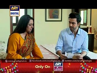 Mumkin - Last Episode 20 - Ary digital - 4th August 2015