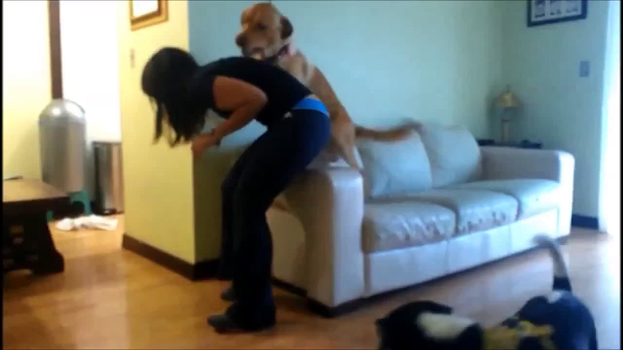 Dogs Humping Girls Dog Fails Compilation
