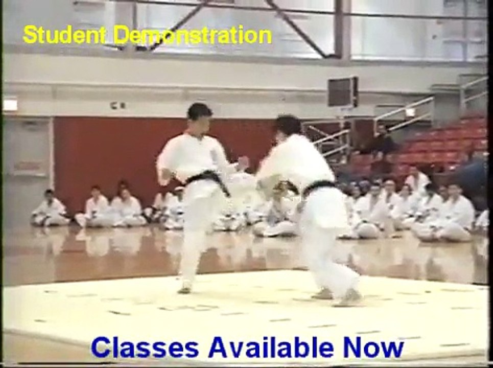 Self Defense Student Demonstration  Classes and Training