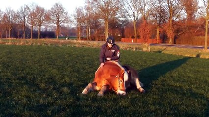 Shilas & Eva; Dressage in the Field