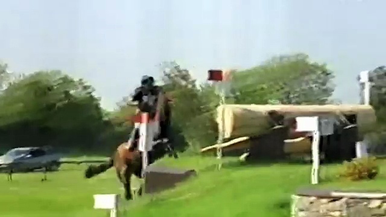 Horse Hero Old Road