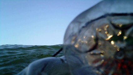 Caiaque PET Reciclado em Ubatuba, SP, Brasil, Julho, 2015, Parte (1)