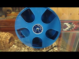 June Hamster Cage Tour - Evangeline