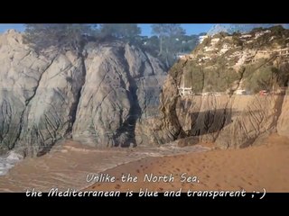 Ike, Black Lab on the beach in Canyelles, Spain | Ike un labrador negro en la playa de Canyelles