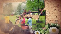 SS Irrigation & Landscaping