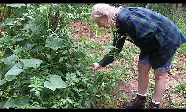 Raining & Raining... and Raining!