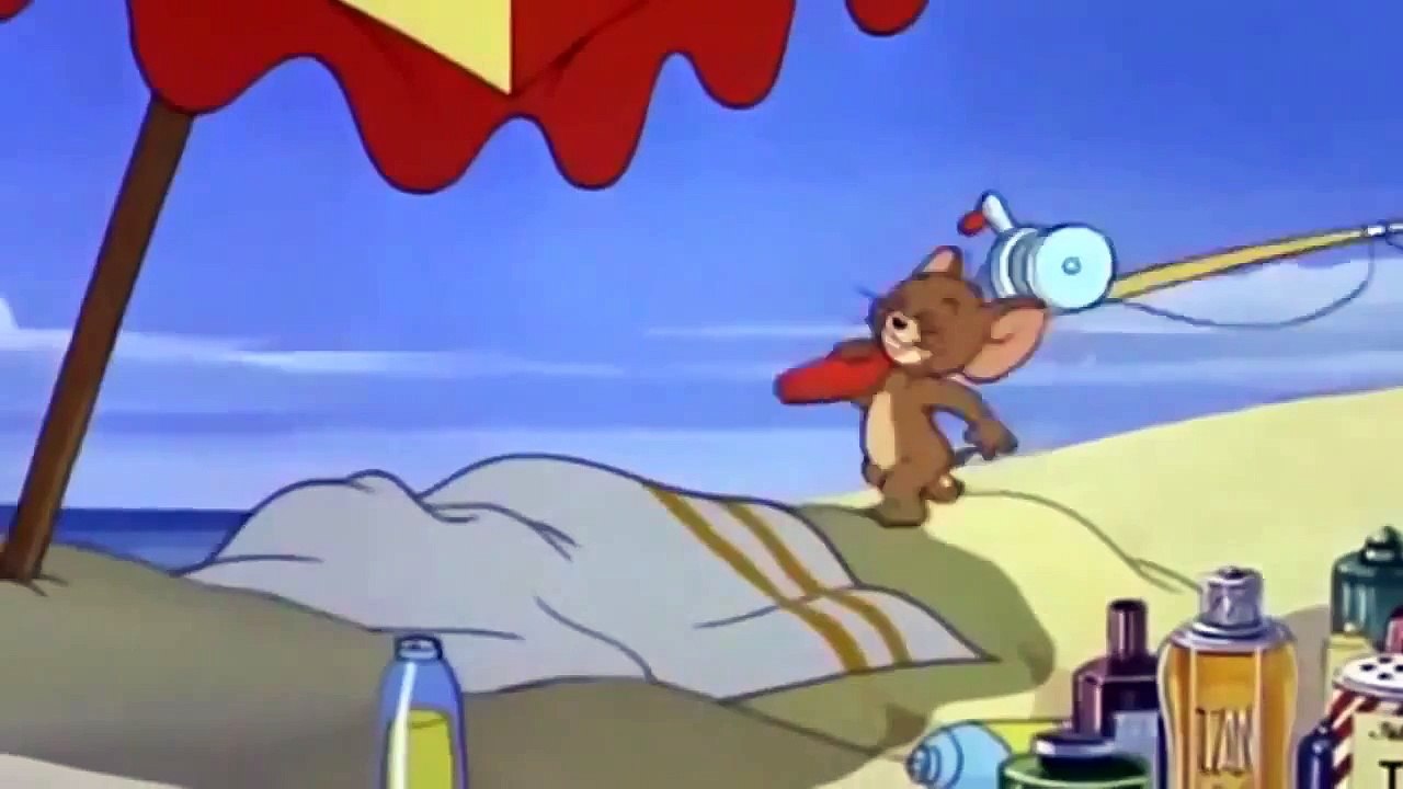 Tom and Jerry Cartoon The Cat and the Mermouse