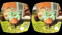 Oculus Rift - Swapped Images for Glasses Free 3D
