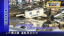 Perro sobrevive a Tsunami en japon  y cuida de su amigo