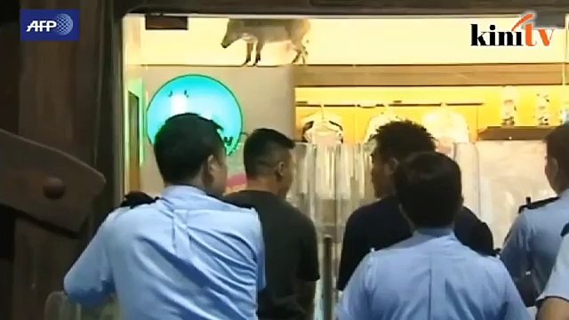 Babi hutan curi tumpuan di pusat beli-belah Hong Kong