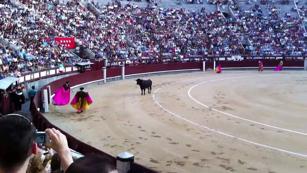 Real Spanish Bullfight in Madrid! (in HD)