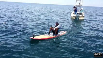 Un énorme poisson au large de la cote Est de la Floride -  Géant Goliath  Mérou géant
