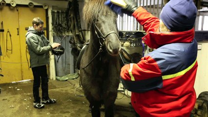 Rökkvi från Karlsro