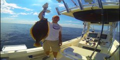 Fluke & Black Sea Bass Fishing Aug 4 2013