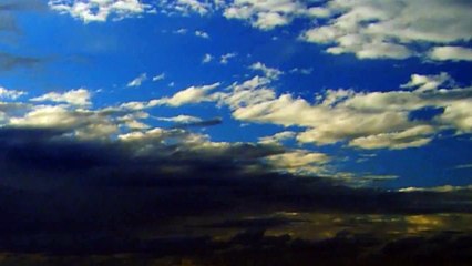 Sardine Run excellent Video