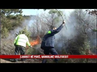 ZJARRET NË PUKË, MUNGOJNË VROJTUESIT