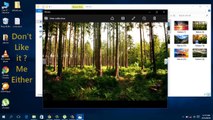 Windows photo viewer windows 10 solution