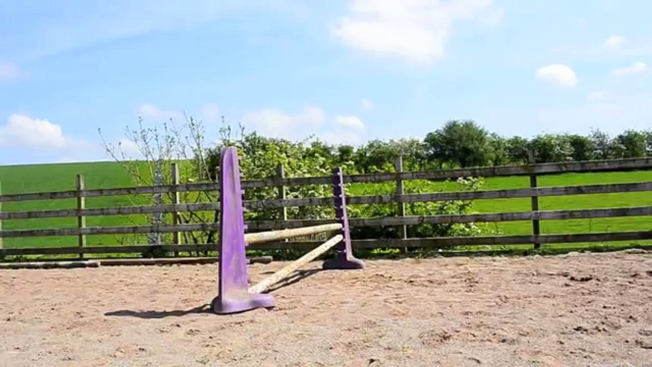 Epic Horse Falls and Fails!!