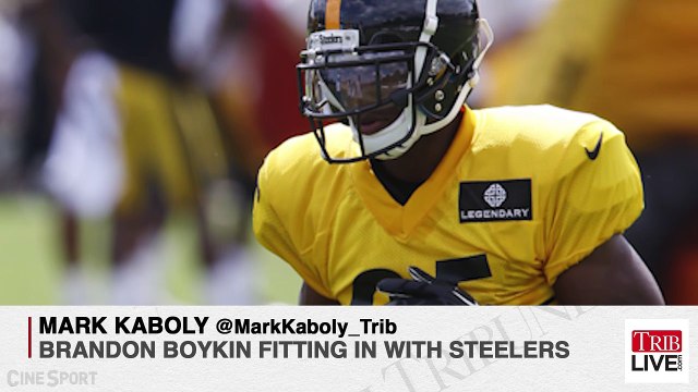 Kaboly: Boykin Fitting in with Steelers