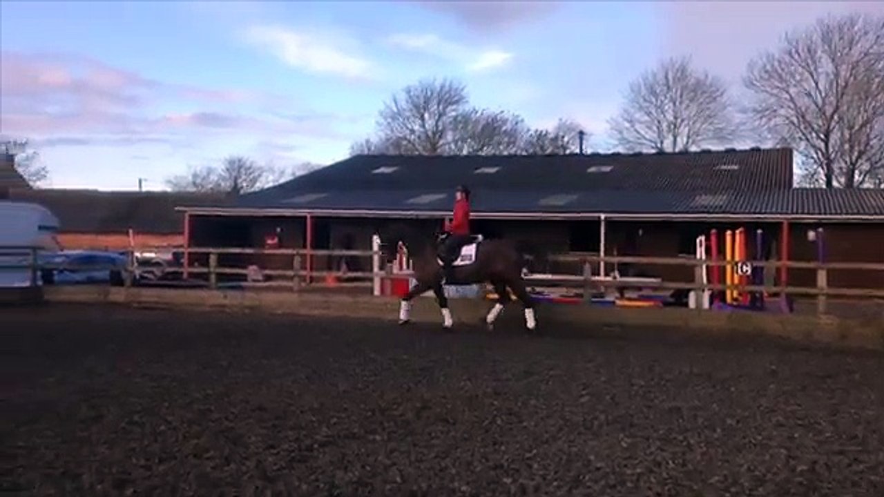 Bosco February 2014