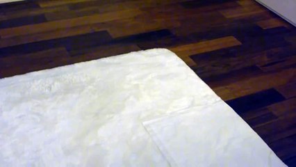 HD『くれなきゃ回るワヨ！』　もちこ（チワワ）の「おねだり攻撃」