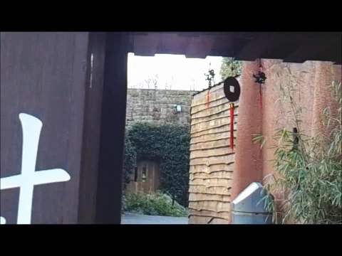 Edinburgh Pandas - PANDAmonium at Edinburgh Zoo