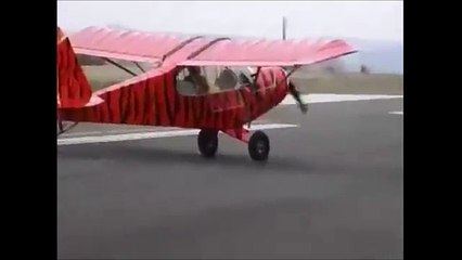 AIRCRAFT UNUSUAL INCIDENT-Must Watch