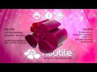 Attention aux failles de sécurité sur Android  (Podcast Nautile - Internet Nouvelle Calédonie)