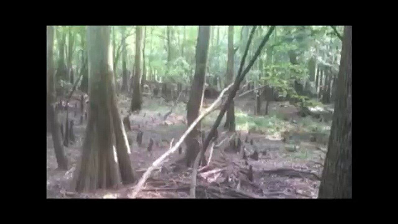 Человек-ящерица в Бишопвилл