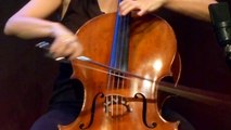 La Folia (arranged for cello by Maurice Gendron, Tanya Anisimova)