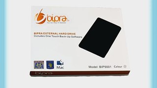 BIPRA Externe Festplatte (100?GB 63?cm / 25?Zoll USB 2.0 FAT32) silberfarben Metallic silber