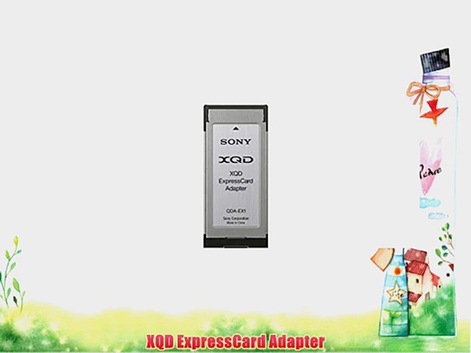 Sony QDAEX1 XQD Express Kartenleser USB
