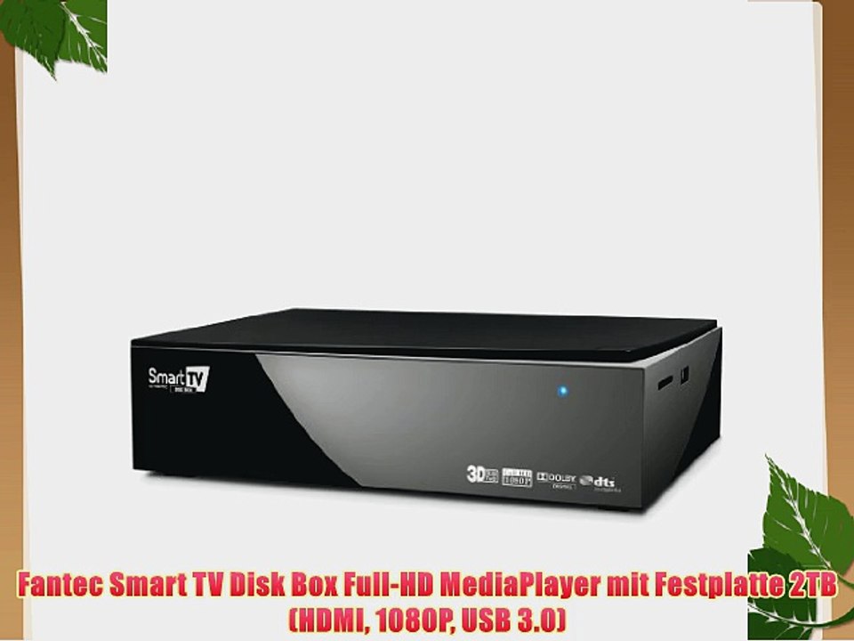 Fantec Smart TV Disk Box Full-HD MediaPlayer mit Festplatte 2TB (HDMI 1080P USB 3.0)