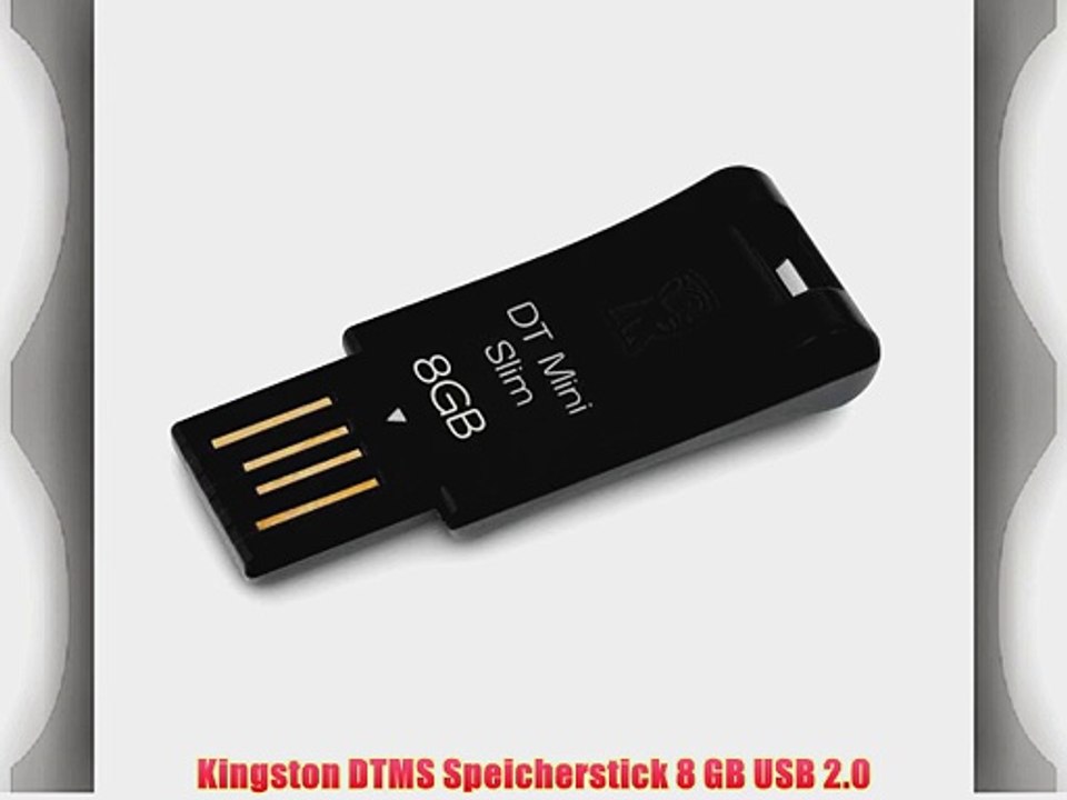 Kingston DTMS Speicherstick 8 GB USB 2.0
