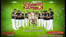 MIX ADIOS CARIÑITO - DELEITES ANDINOS (Febrero - 2015)