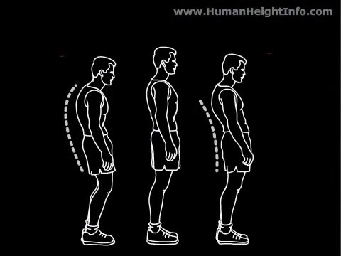 True About Human Height | Height increasing exercises - Grow Taller Tips