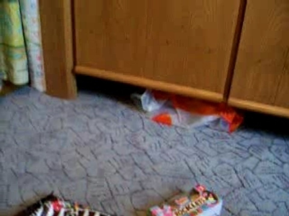Easter surprise