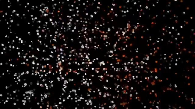 PKR cadang pohon benar Anwar mengundi