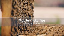 LG G4 Mobile Photo Tips | Manual Focus