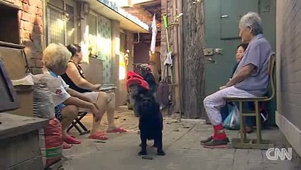 Moment when Newborn baby pulled alive from toilet in Beijing - YouTube