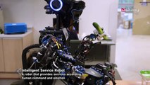Evolution of robots with artificial intelligence