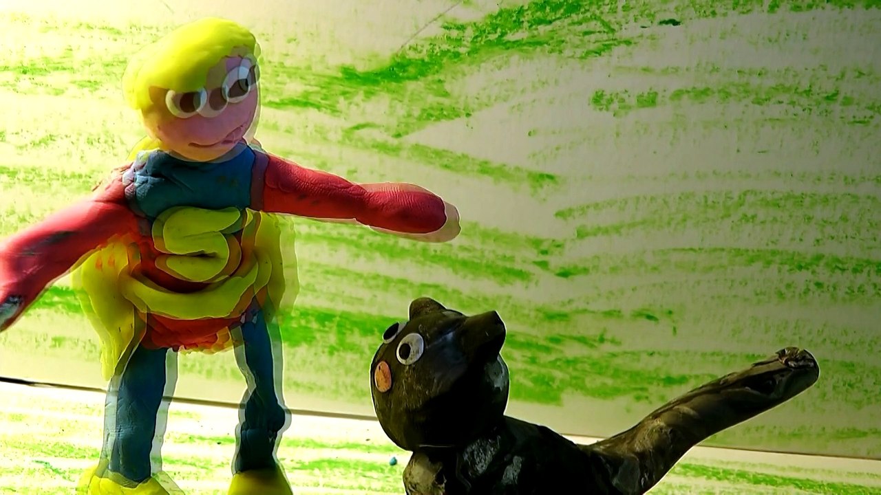 le chat en danger