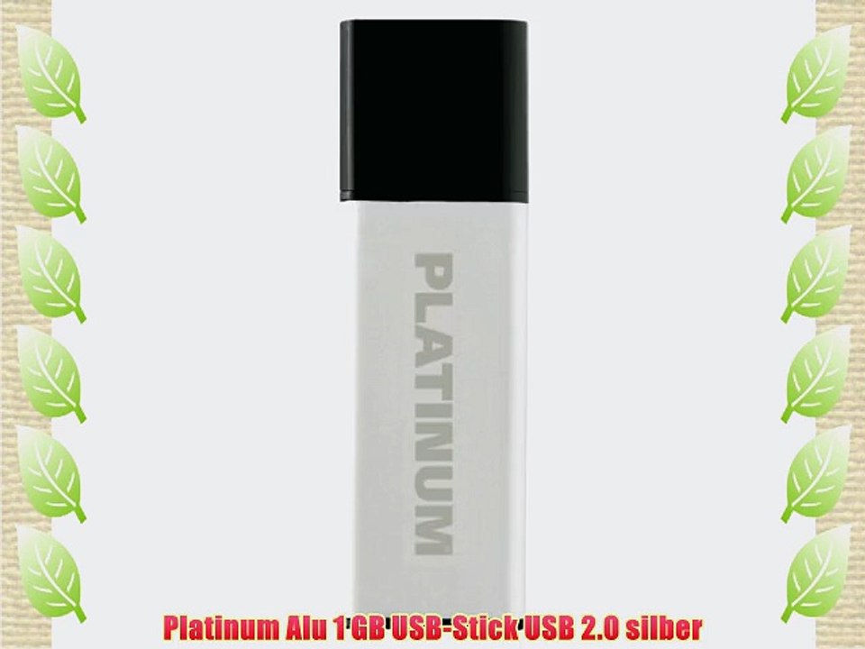 Platinum Alu 1 GB USB-Stick USB 2.0 silber