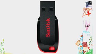 SanDisk Cruzer Blade 64GB USB-Stick schwarz / rot