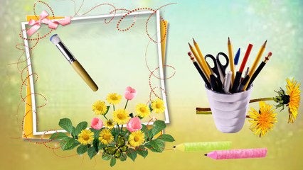 The Most Beautiful Butterflies in the World