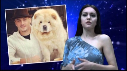 Gjithçka Shqip - 5 ne Instagram (S01 - E05)