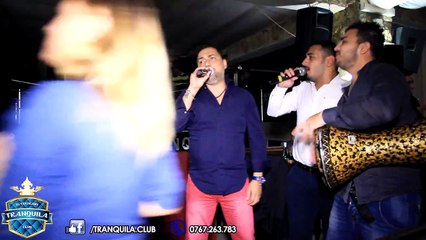 Sorinel Pustiu - Stau ca vulturul pe stanca