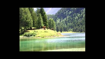 Poezi Gurbeti Lexoi Dani Realizoi RADIO ZERI ILIRIDES