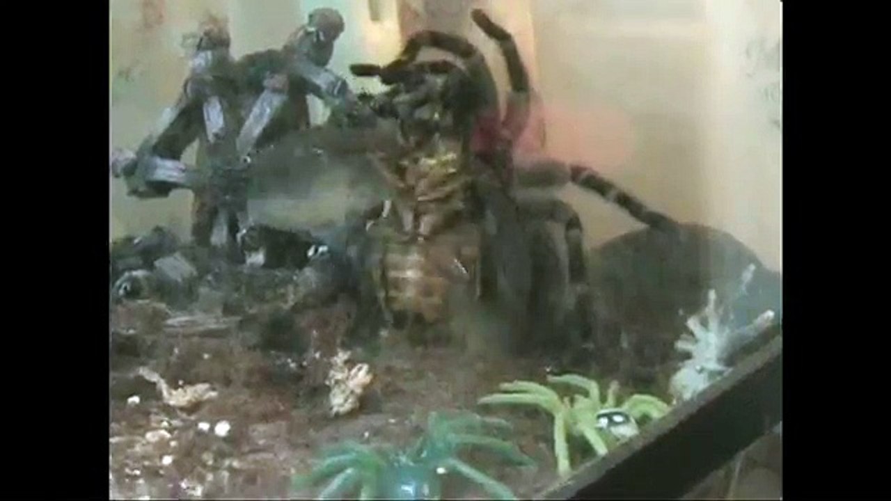 Чужой против Хищника... Часть 2...